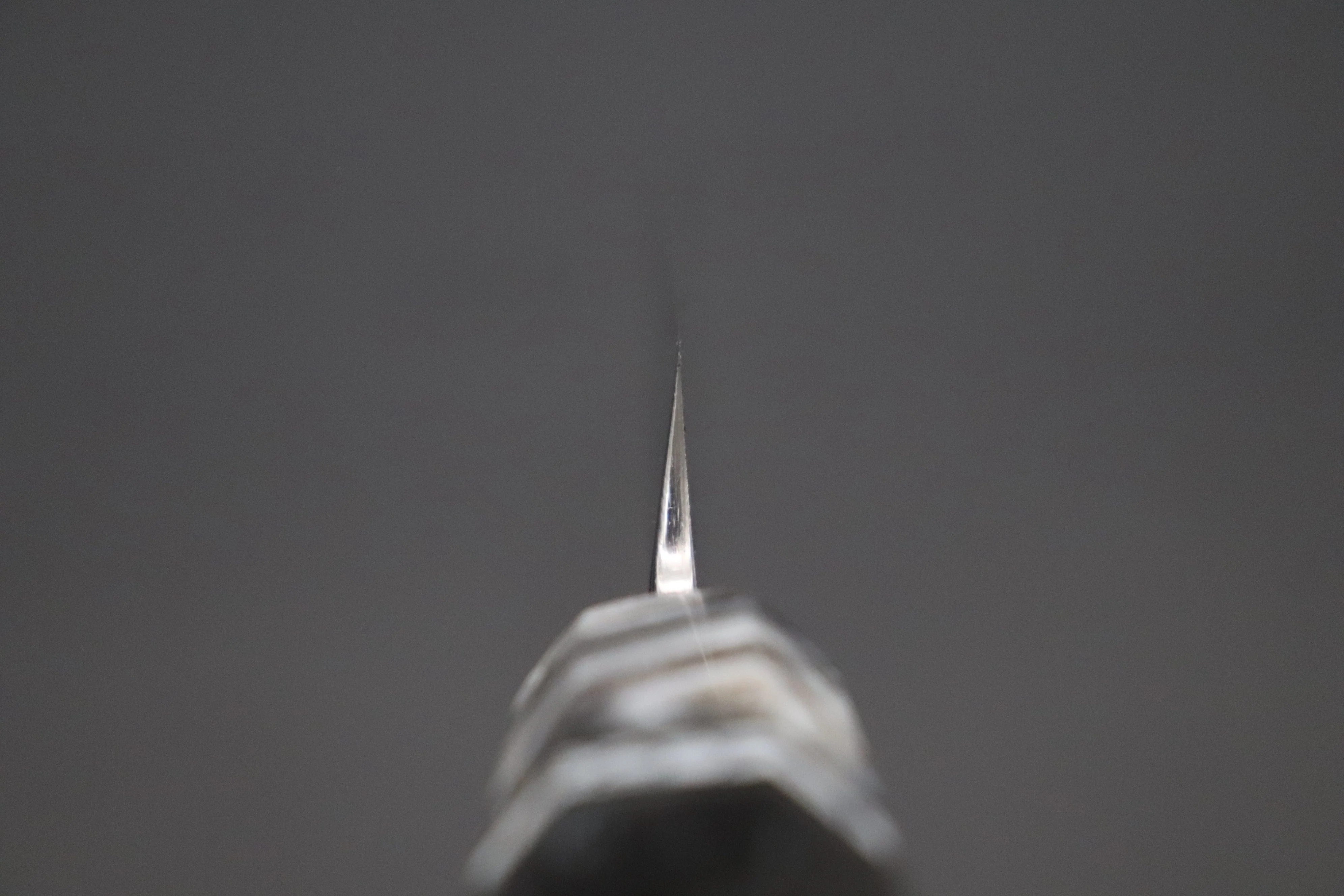 Custom Limited Edition, Sukenari Honyaki SG-II Series HSG-10 Yanagiba 300mm (11.8 Inch, Single Bevel Edge) - Image 4