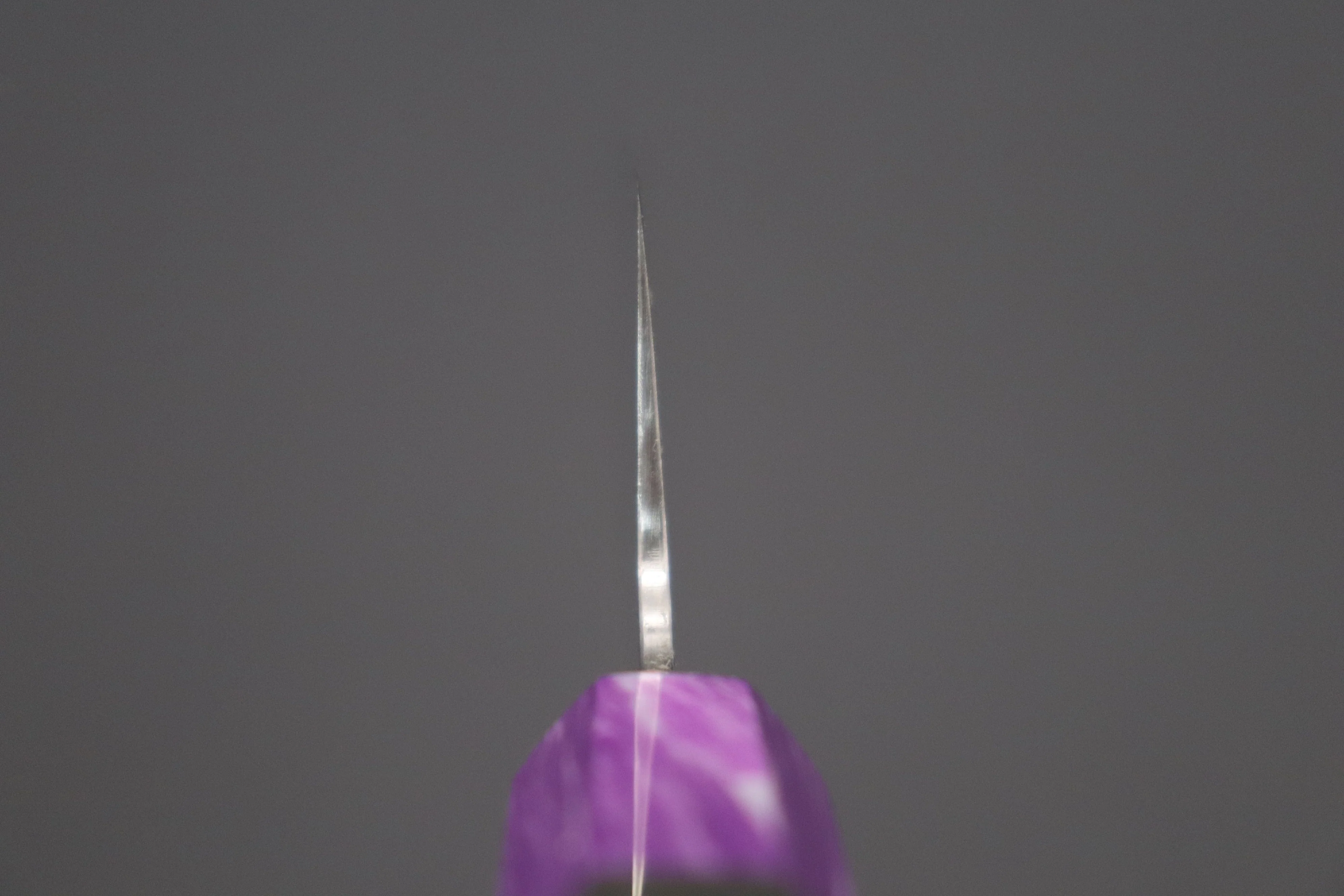 Custom Limited Edition, Sukenari ZDP-189 Clad Wa Gyuto 210mm (8.2 inch, SCL-289) - Image 4