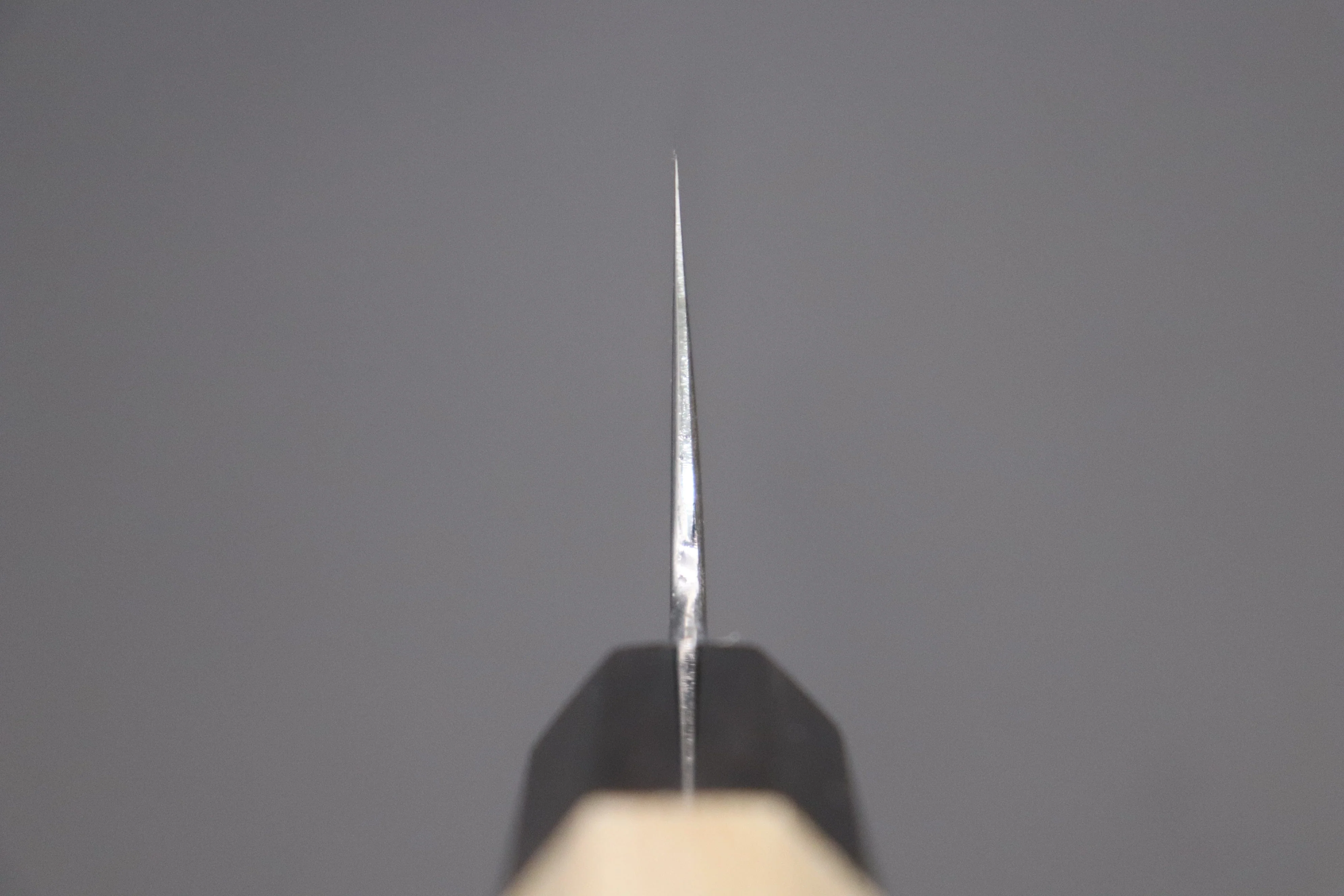 Fu-Rin-Ka-Zan Blue Steel No.2 Hon Kasumi Series FB-17 Wa Gyuto 240mm (9.4 inch, Double Bevel Edge) - Image 4