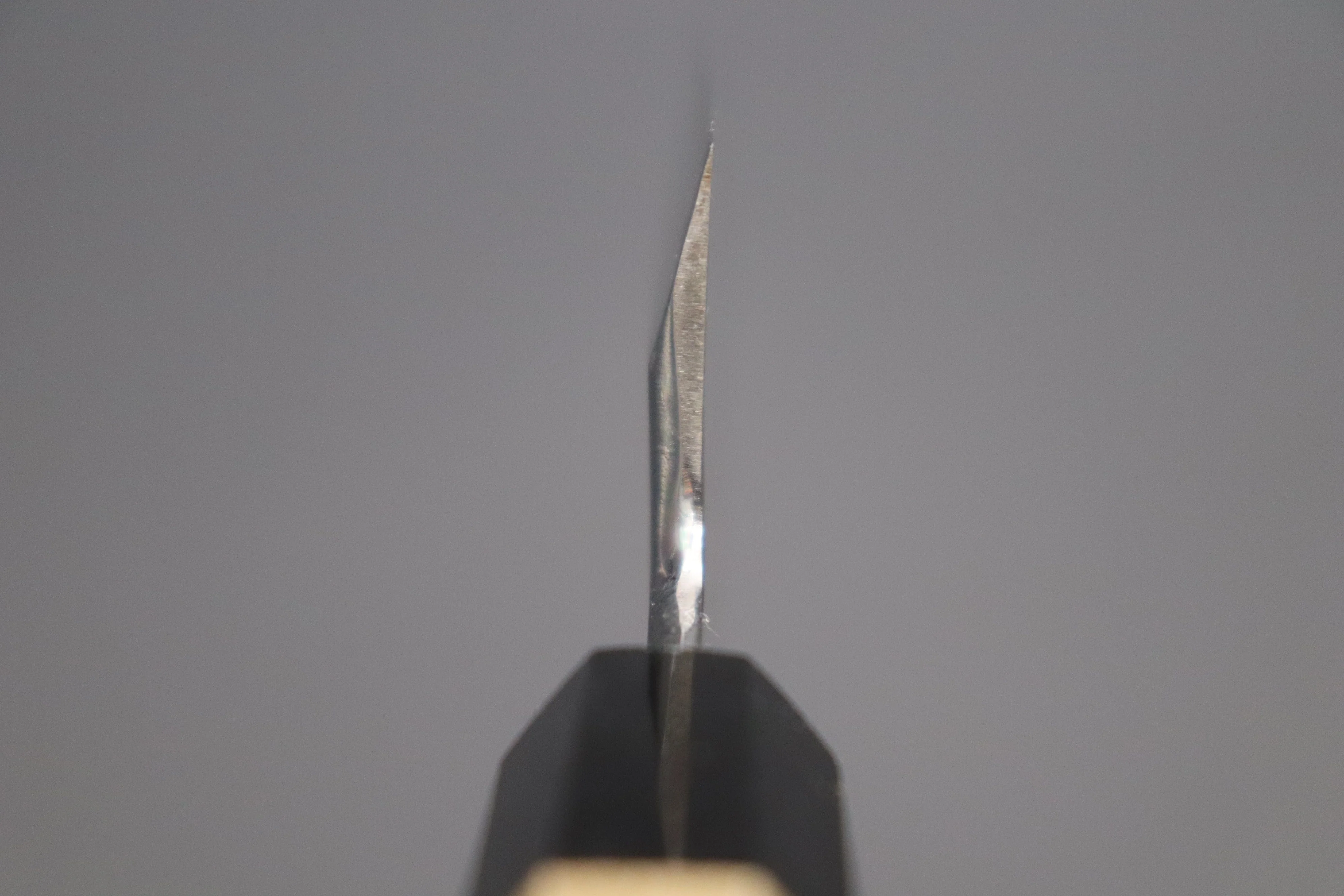 Fu-Rin-Ka-Zan Hon Kasumi Series Gingami No.3 FG-16 Funayuki 195mm (7.6 inch, Single Bevel Edge) - Image 5