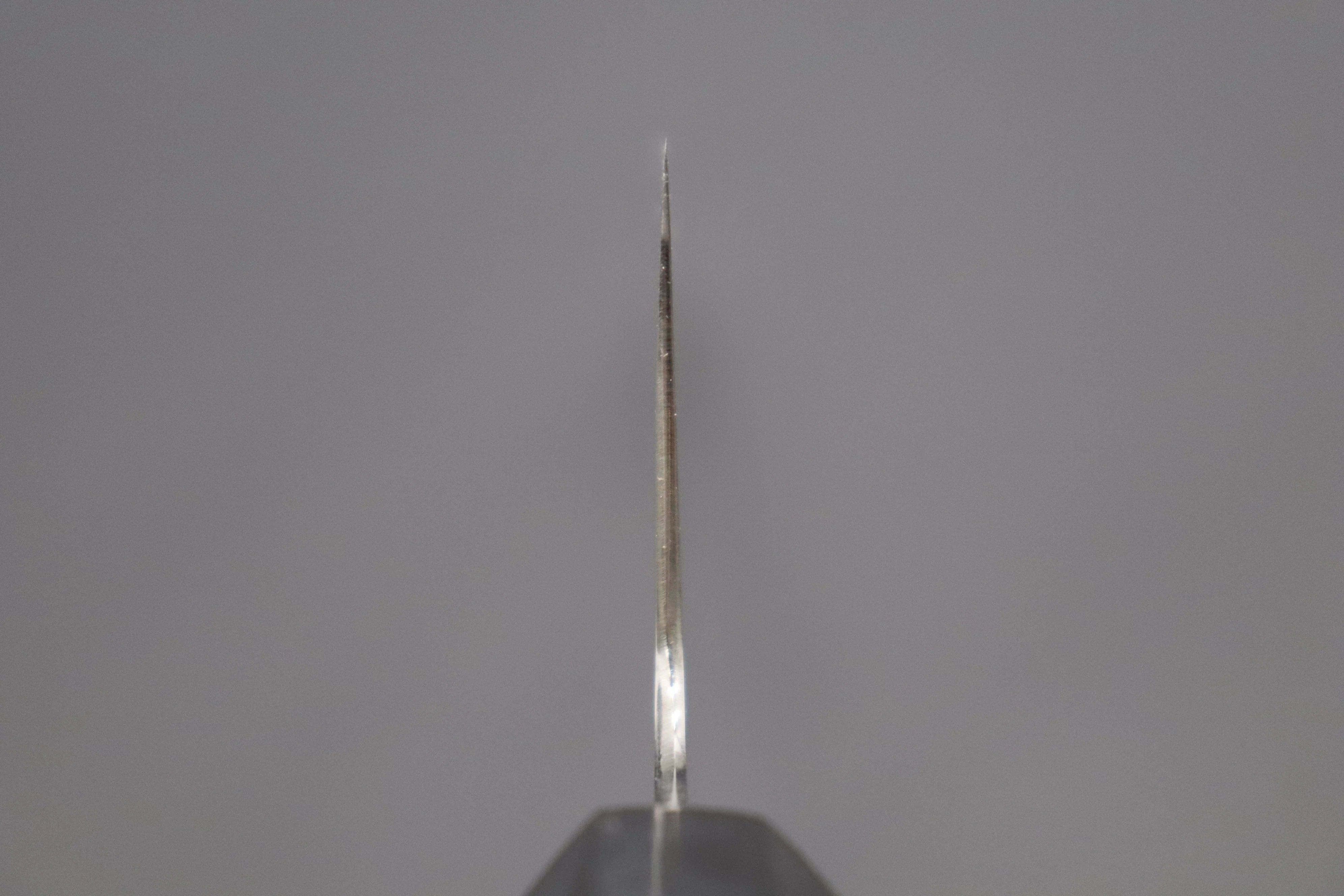 Fu-Rin-Ka-Zan Pure Sweden Stainless Steel Wa Series Wa Gyuto (210mm to 300mm, 4 sizes) - Image 4