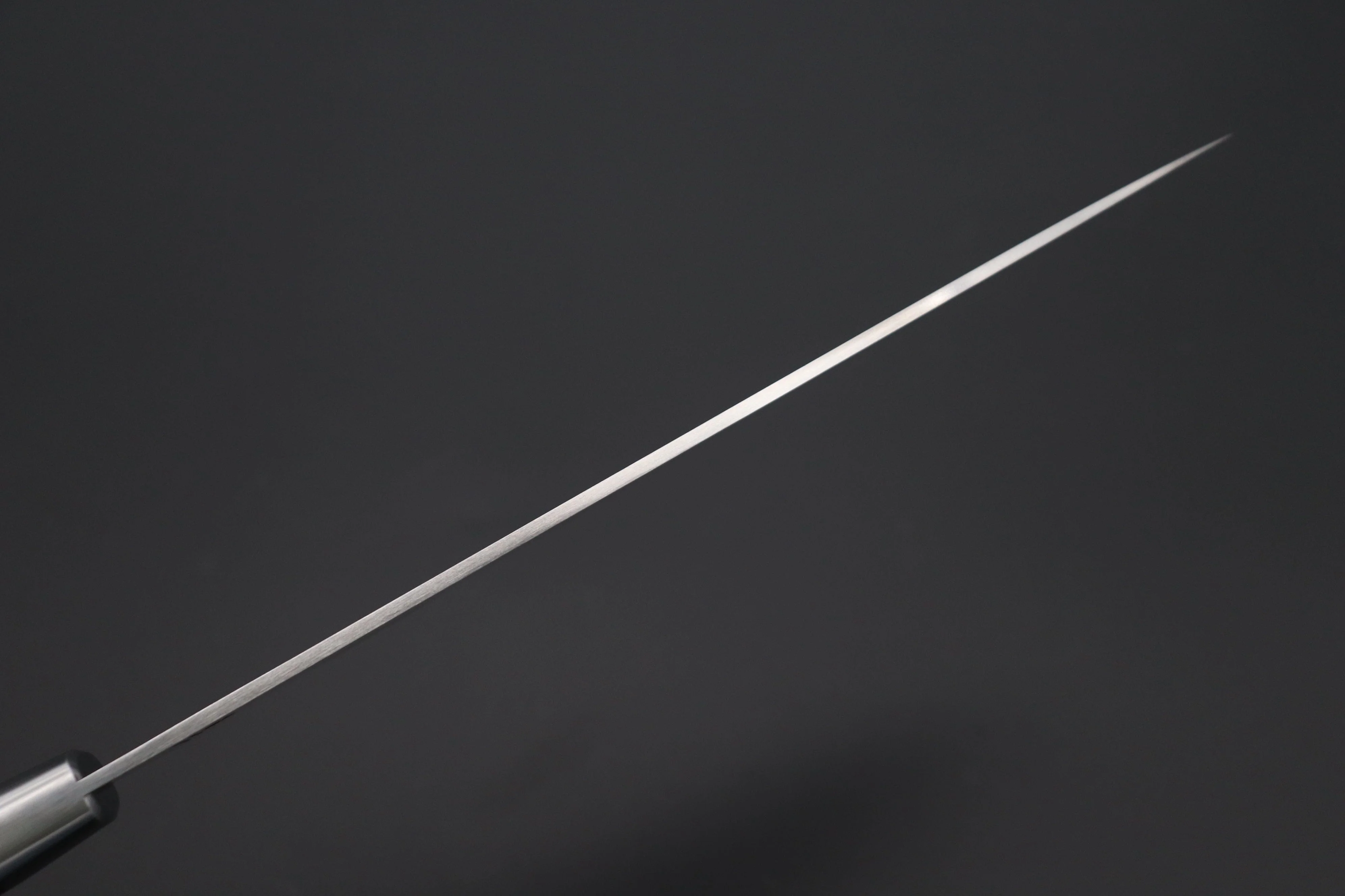 Hattori Forums FH "NOAH" Series FHN-6A Gyuto 210mm (8.2 Inch, African Blackwood Handle) - Image 5
