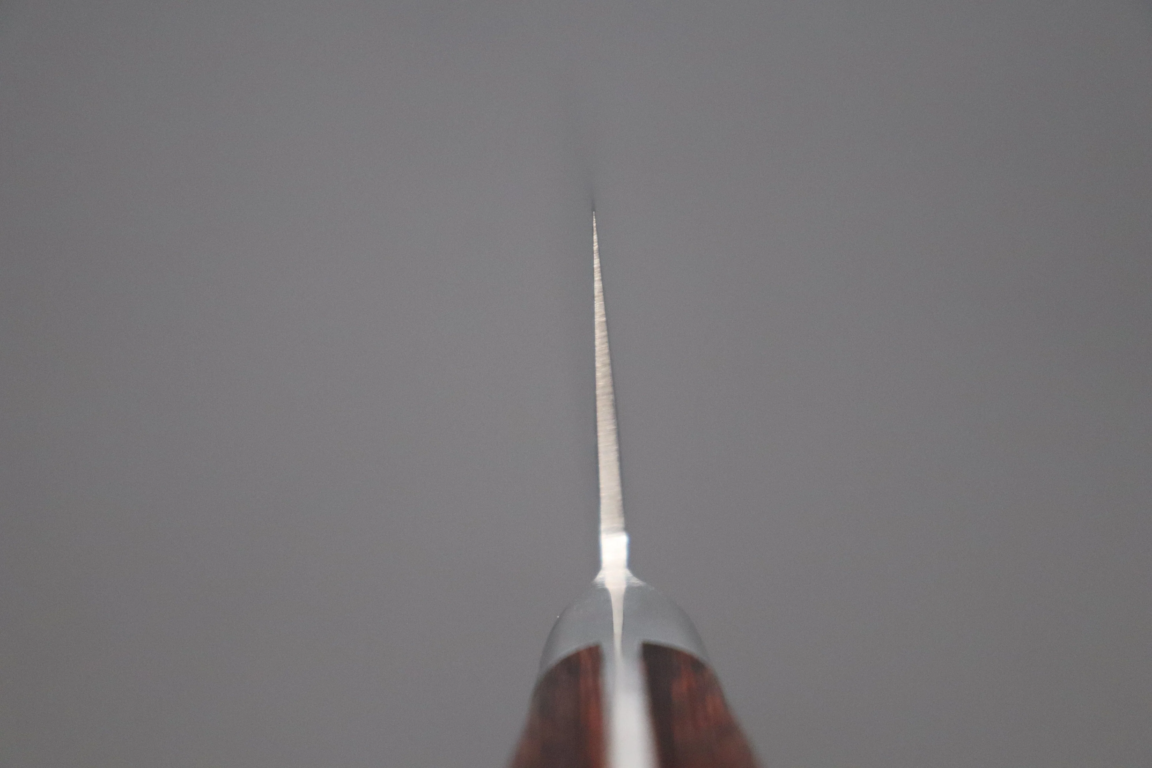 JCK Natures ”Gekko Kagami” Gyuto 210mm (8.2 inch) - Image 4