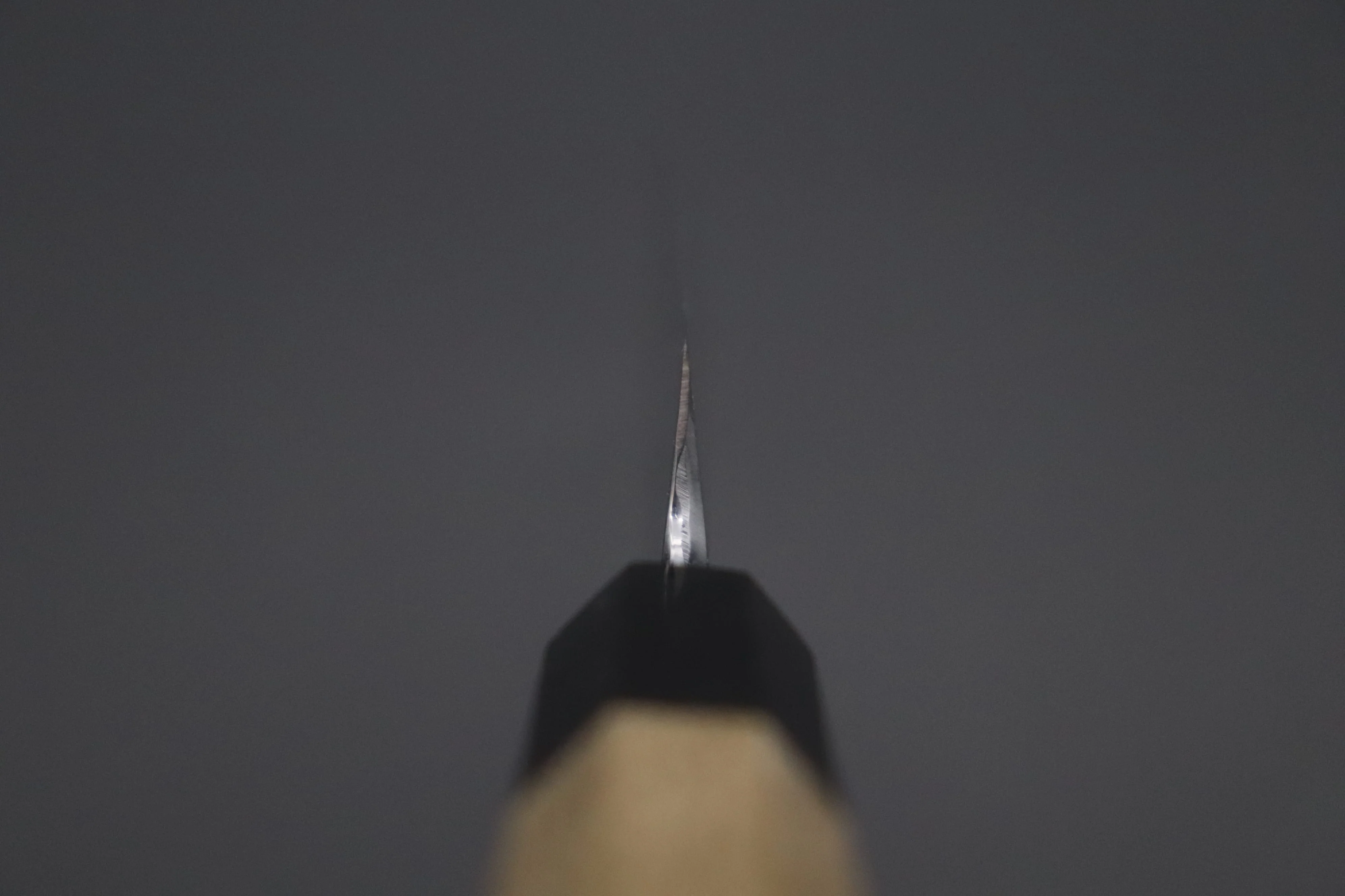 "Left Handed Version ! "Fu-Rin-Ka-Zan Hon Kasumi Series Blue Steel No.2 FB-2L Yanagiba 270mm (10.6 Inch) - Image 4
