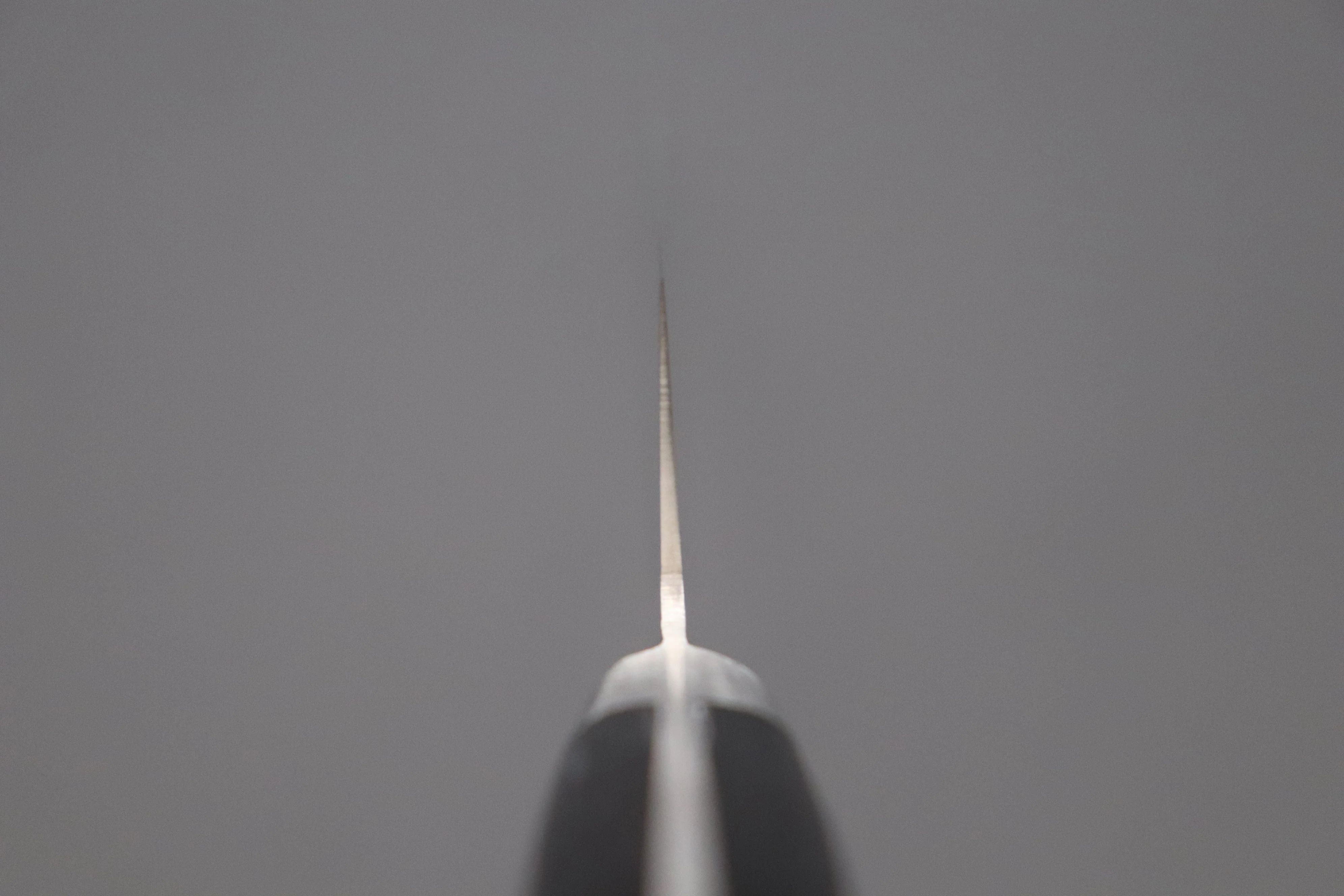 Misono 440 Series Sujihiki (240mm and 270mm, 2 sizes) - Image 4