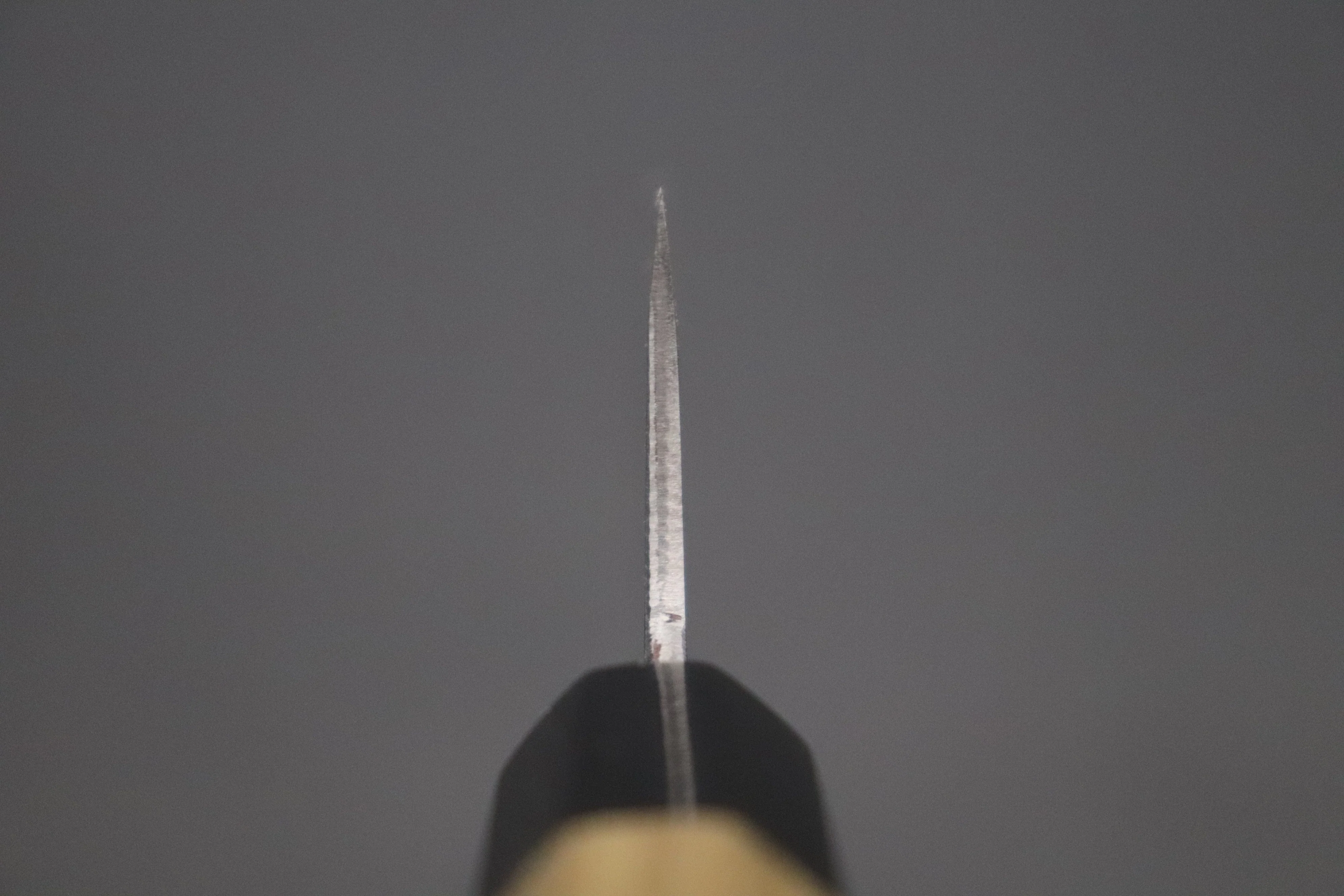 Shirou-Kunimitsu Blue Steel No.2 Natural Beauty Series SKB-5 Wa Gyuto 210mm (8.2 Inch) - Image 4