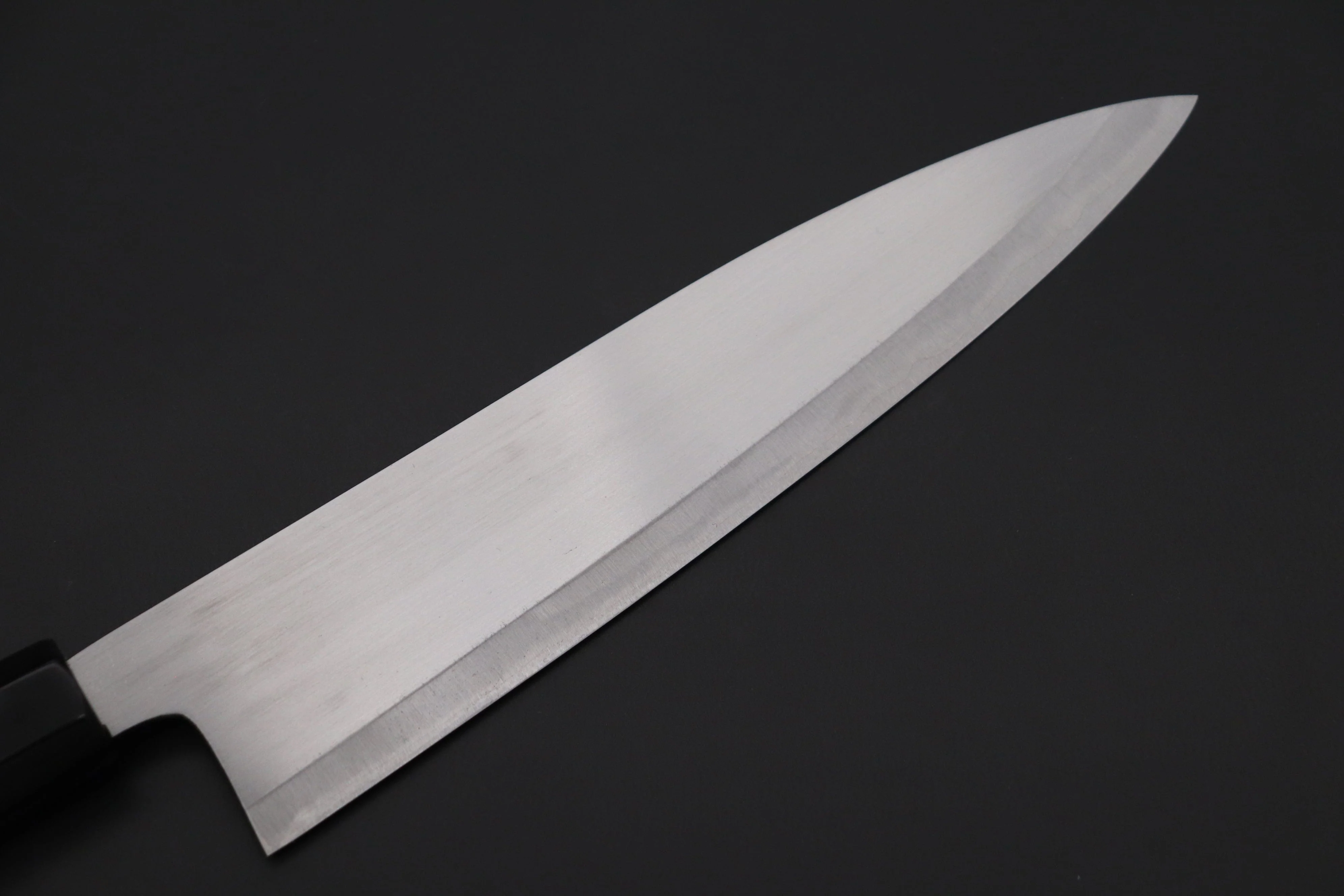Shirou-Kunimitsu Blue Steel No.2 Natural Beauty Series SKB-5 Wa Gyuto 210mm (8.2 Inch) - Image 6