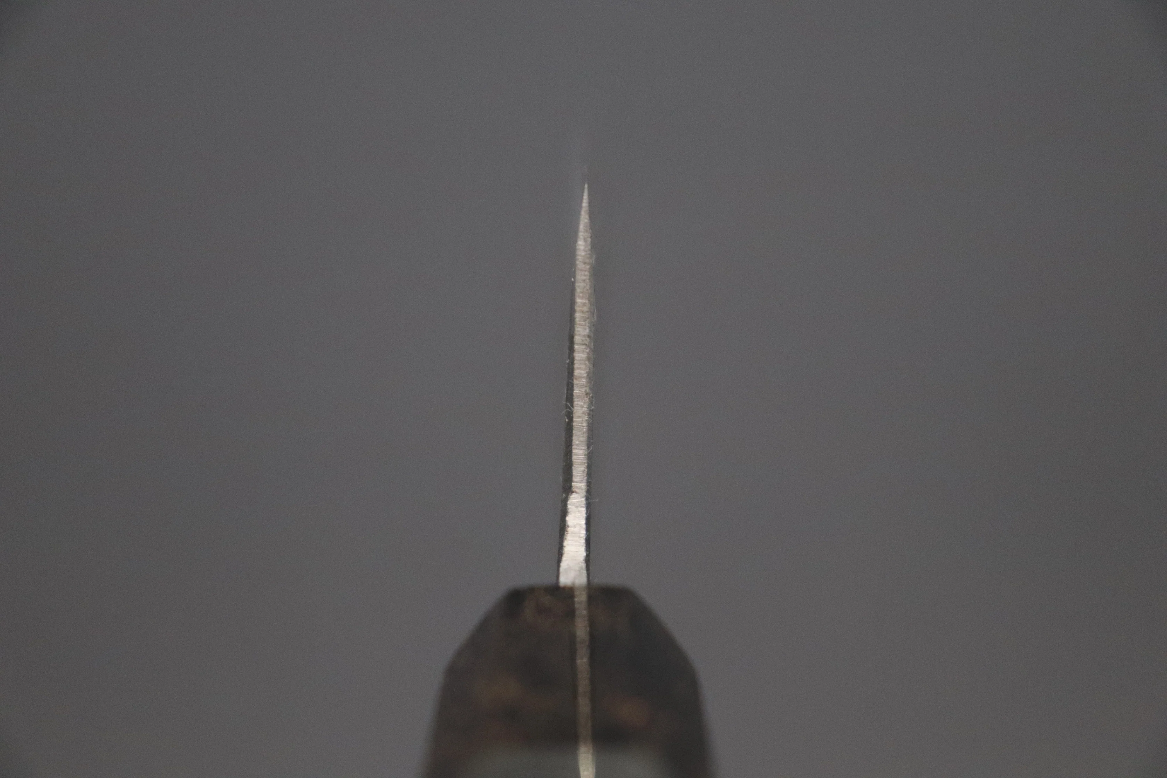 Shirou-Kunimitsu White Steel No.2 Kurouchi Series Special Edition SK-5SP45 Wa Gyuto 210mm (8.2 Inch) - Image 4