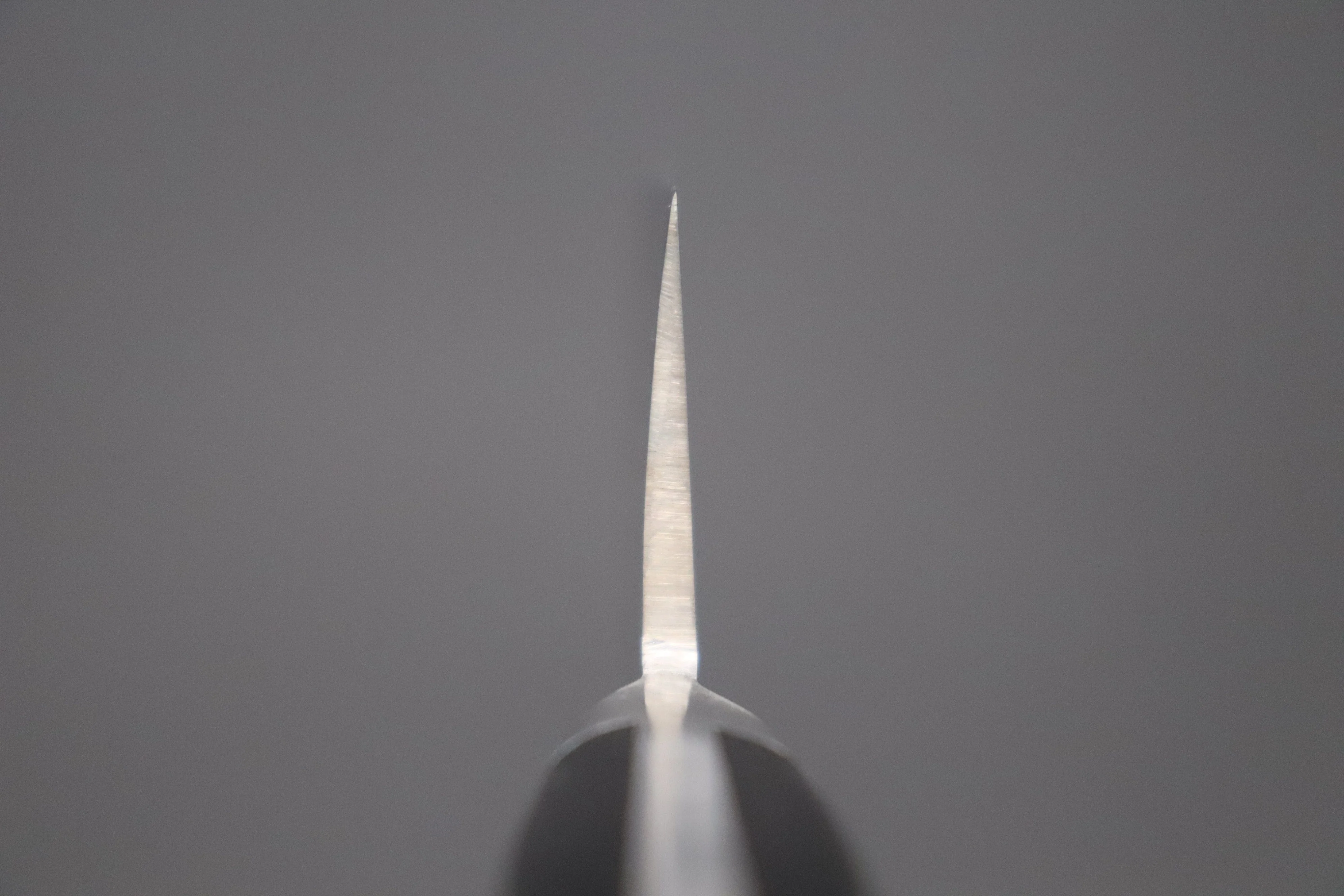 想磨 SOUMA (Fujiwara Kanefusa) FKM Series Western Deba (210mm and 240mm, 2 sizes, Black Pakka Wood Handle) - Image 4