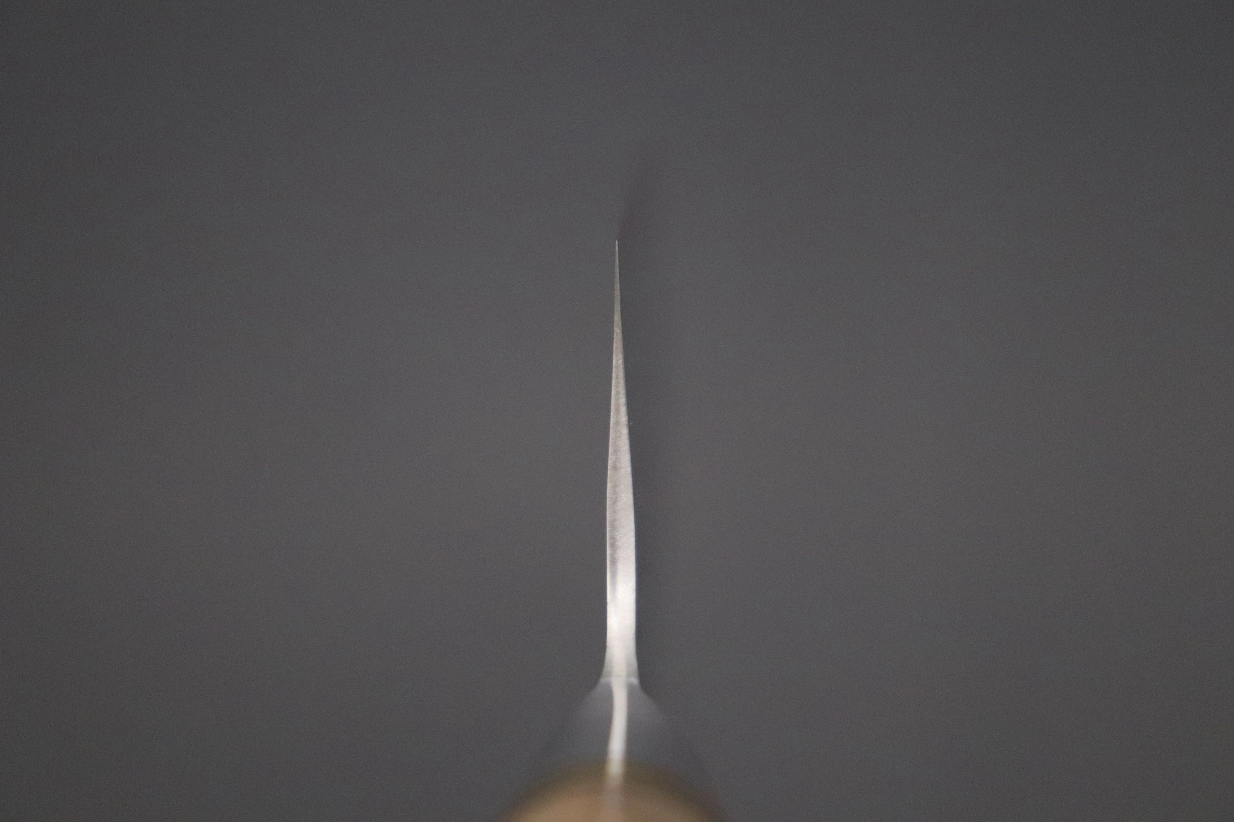 Takeshi Saji Nature Series — Hammer Forged R-2 SNR-5 Nakiri 165mm (6.4 inch, Quince Burl Wood Handle) - Image 4