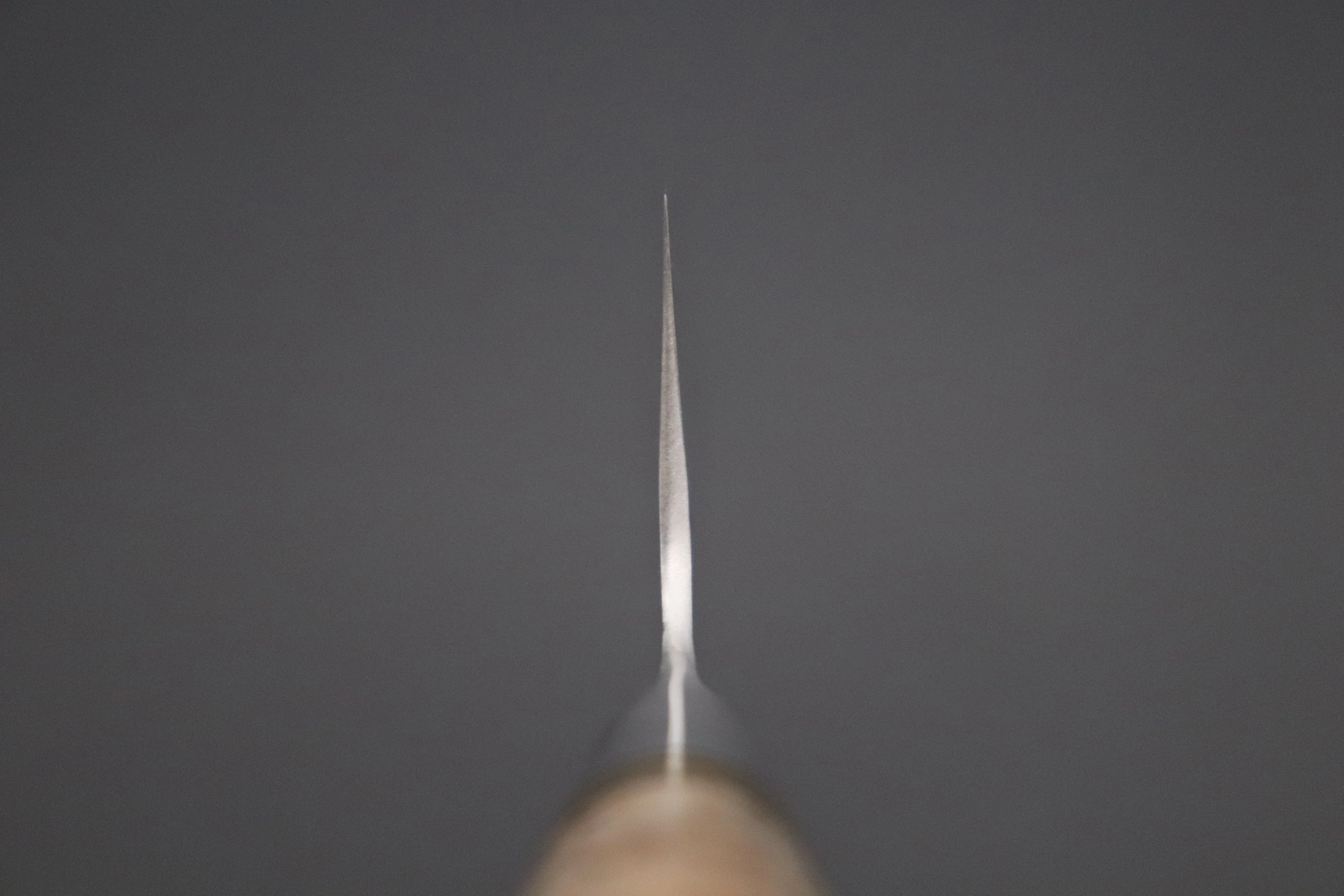 Takeshi Saji Nature Series — Hammer Forged R-2 SNR-6 Bunka 180mm (7 inch, Quince Burl Wood Handle) - Image 4