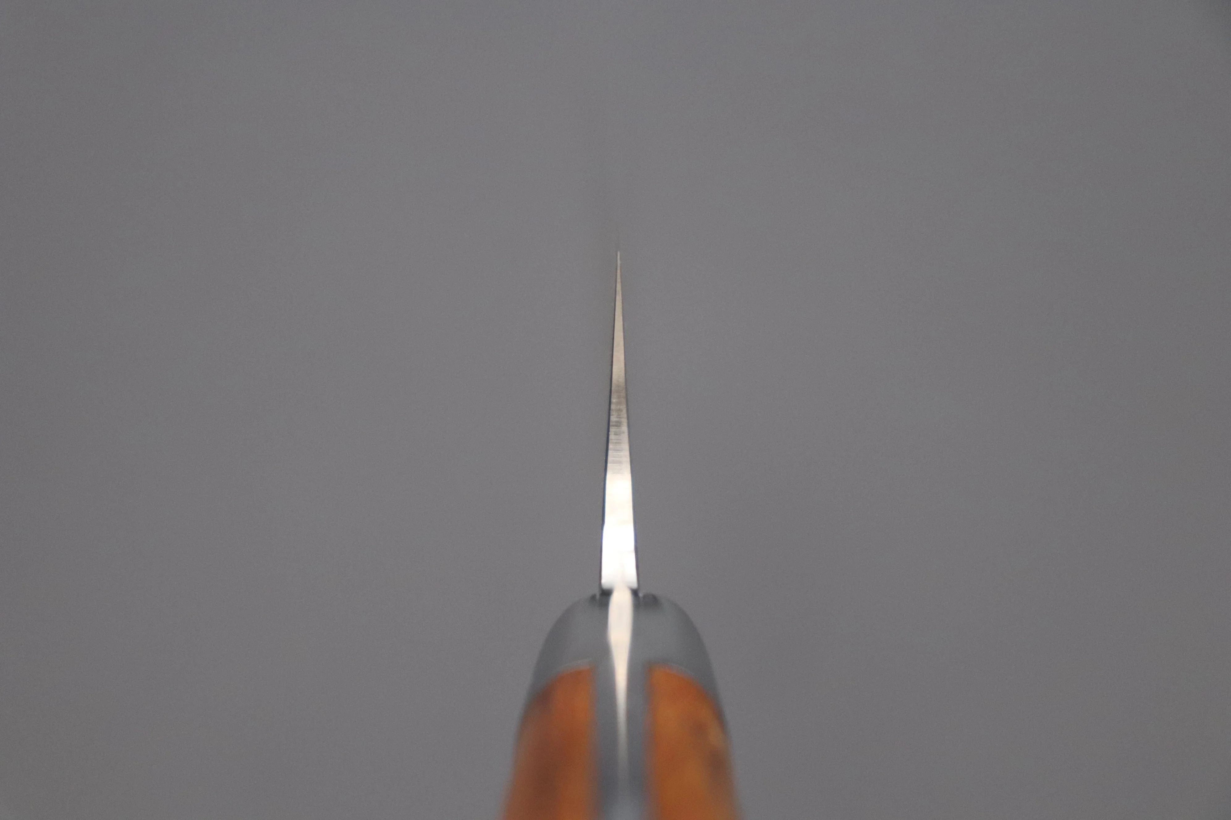 Takeshi Saji R-2 Custom Black Damascus Wild Series Gyuto (180mm to 270mm, 4 sizes, Ironwood Handle) - Image 4