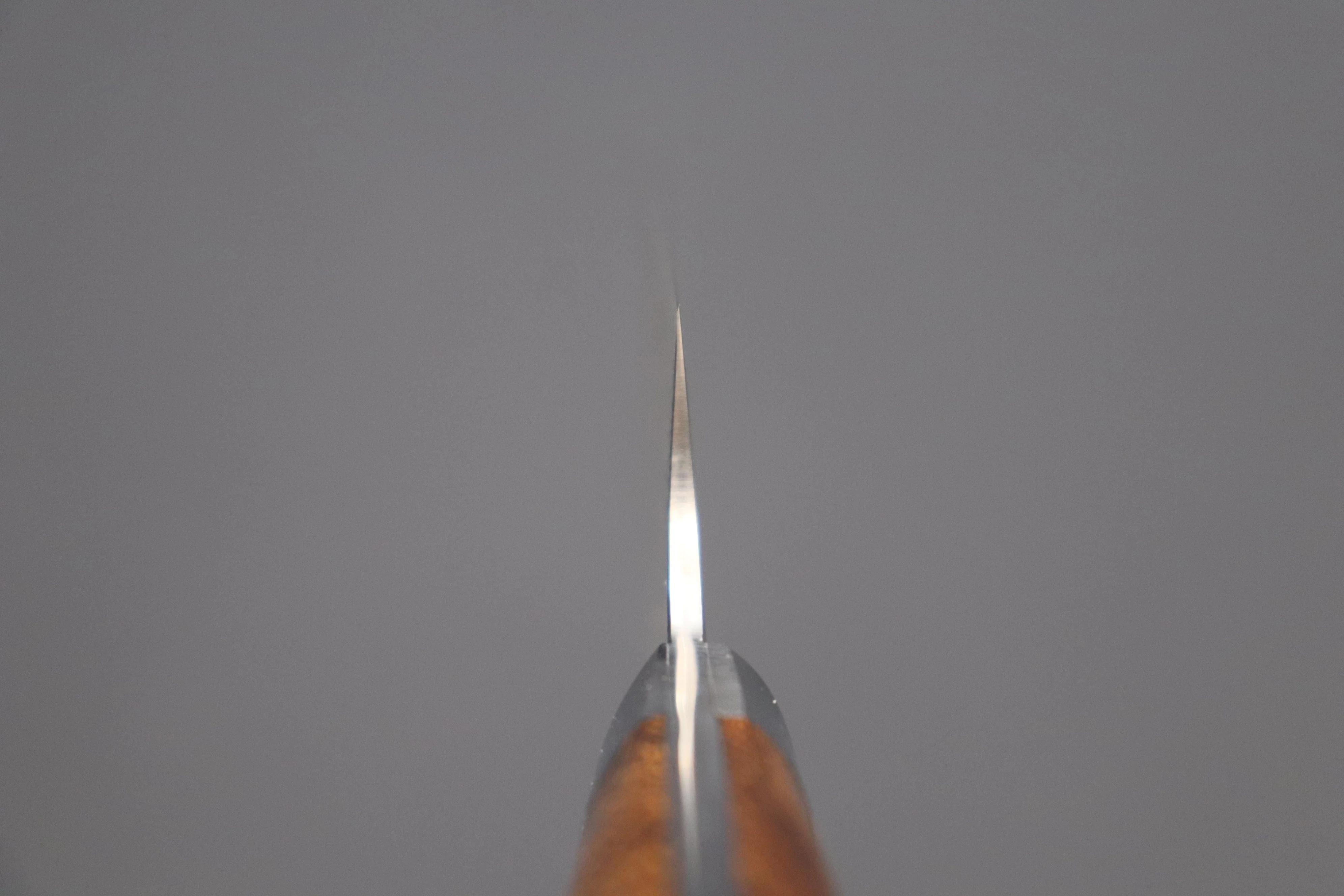 Takeshi Saji R-2 Custom Black Damascus Wild Series Sujihiki (240mm and 270mm, Ironwood Handle) - Image 4