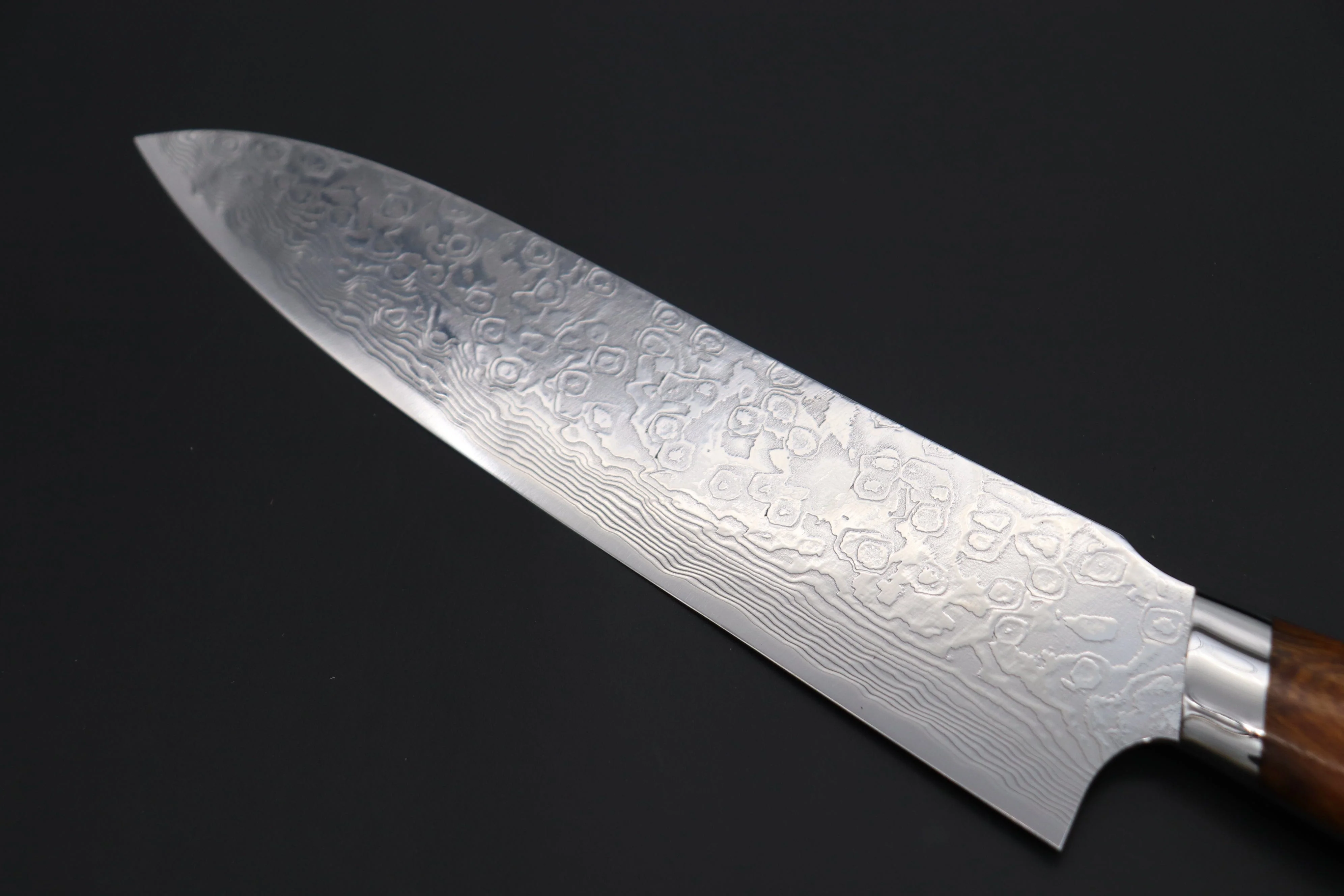 Takeshi Saji R-2 Diamond Damascus Gyuto — Upswept Design (210mm and 240mm, Desert Ironwood Handle) - Image 7