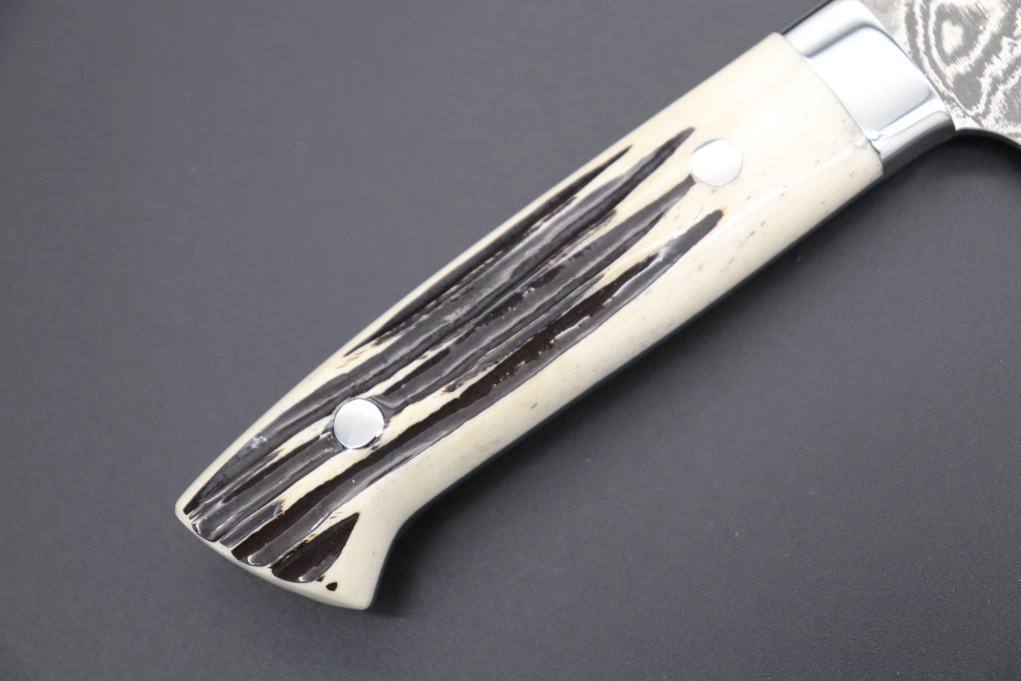 Takeshi Saji R-2 Custom Black Damascus Wild Series Bunka 175mm (6.8 inch, Stag Bone Handle) - Image 3