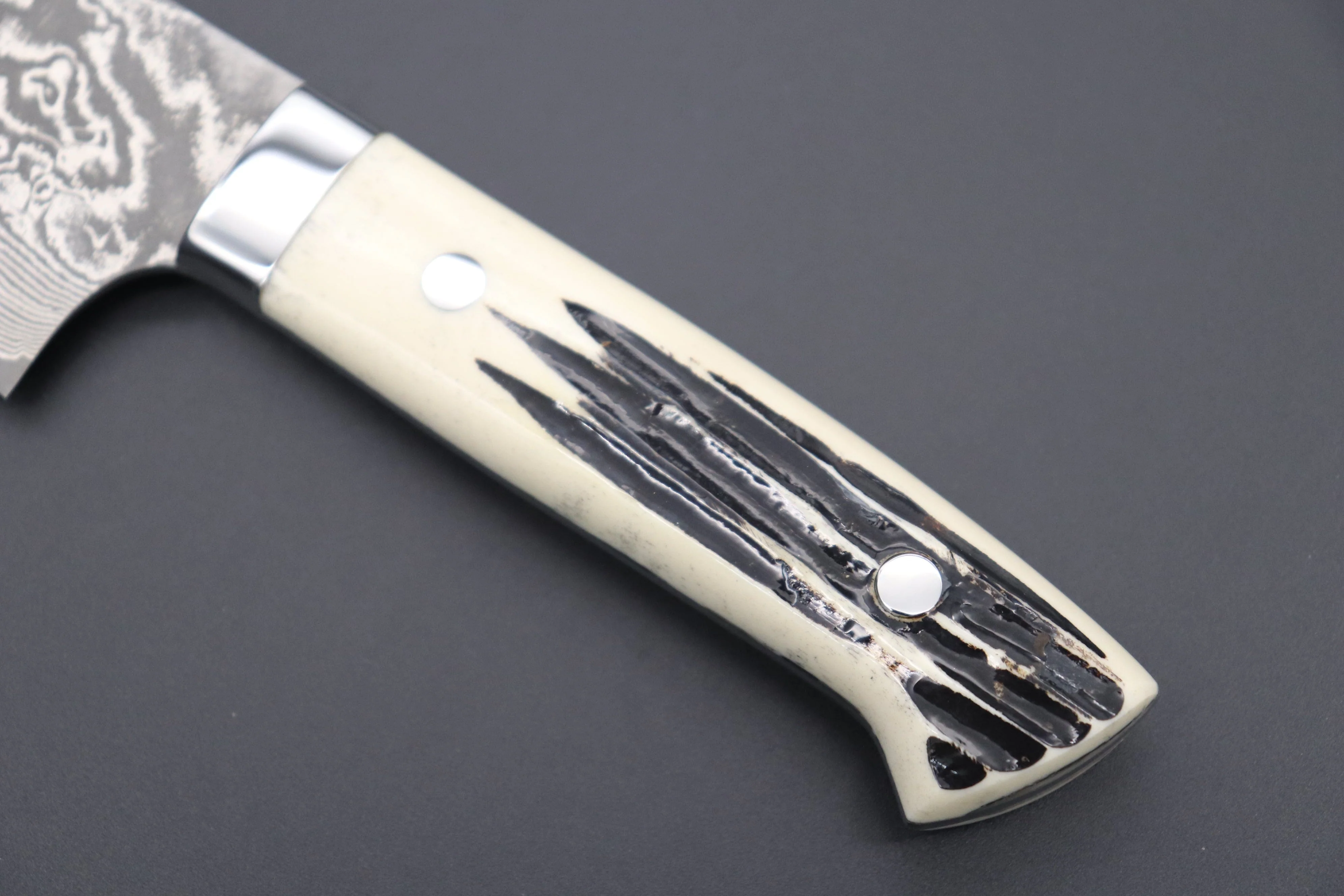 Takeshi Saji R-2 Custom Black Damascus Wild Series Bunka 175mm (6.8 inch, Stag Bone Handle) - Image 7