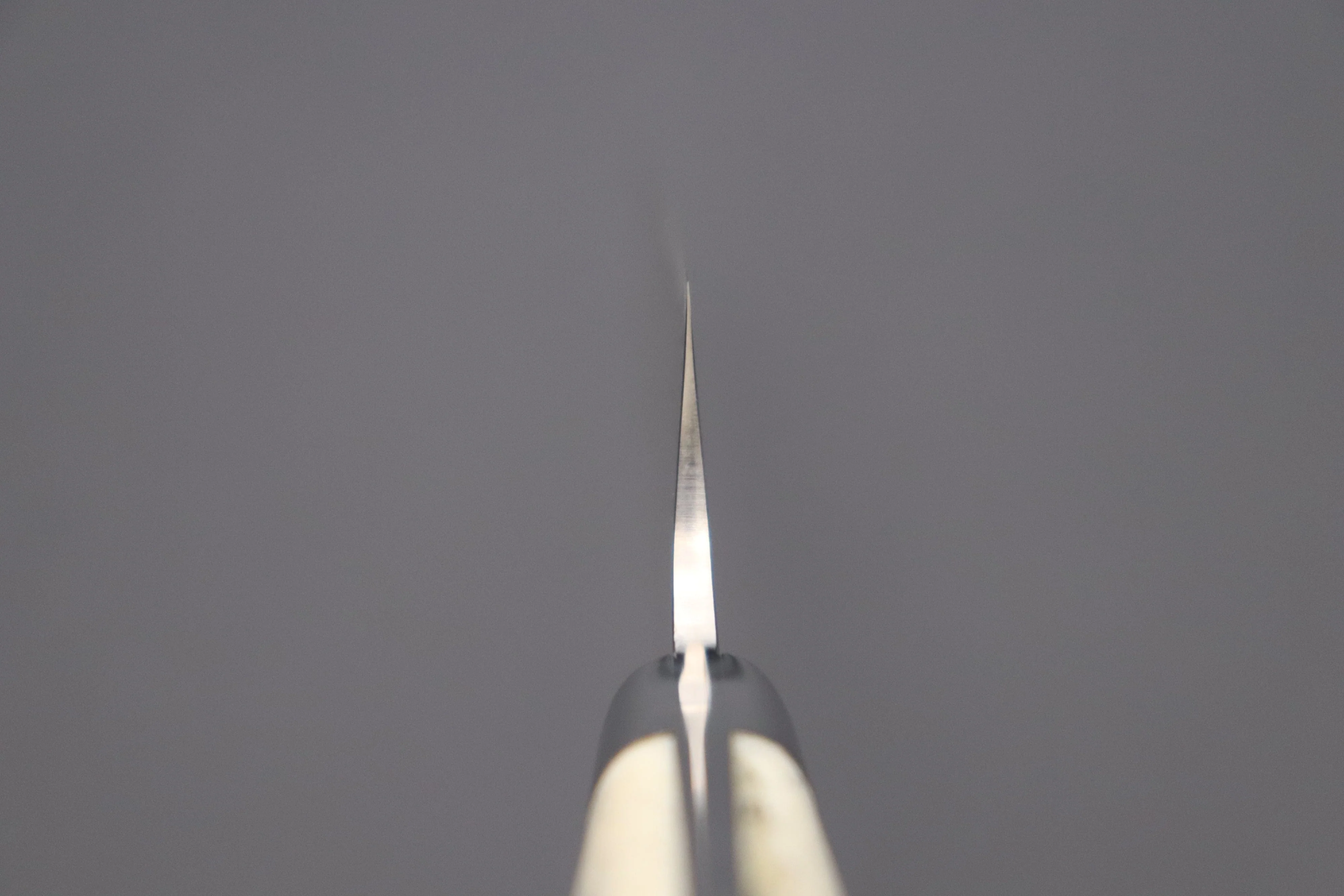 Takeshi Saji R-2 Custom Black Damascus Wild Series Gyuto (180mm to 270mm, 4 sizes, Stag Bone Handle) - Image 4