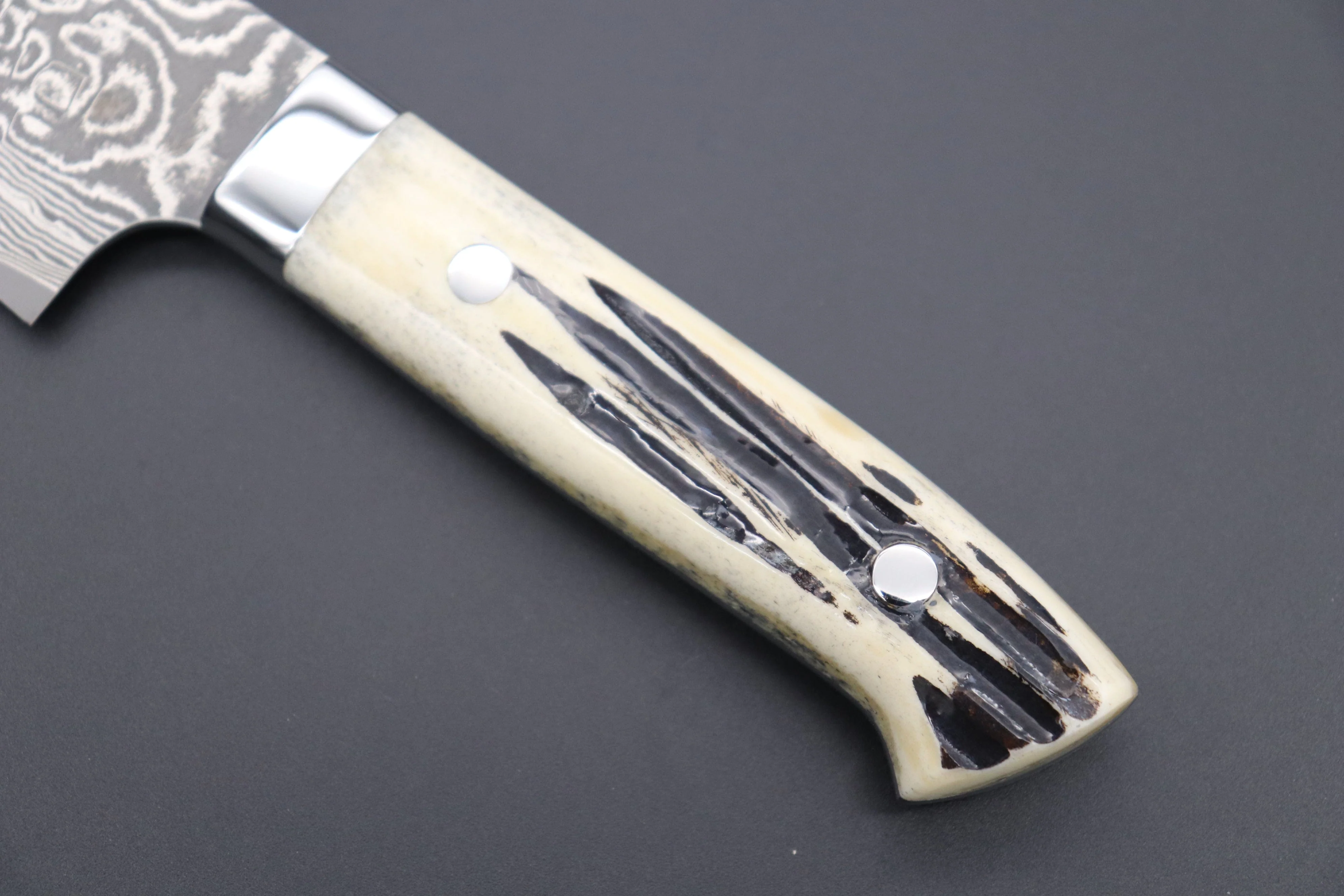 Takeshi Saji R-2 Custom Black Damascus Wild Series Gyuto (180mm to 270mm, 4 sizes, Stag Bone Handle) - Image 7
