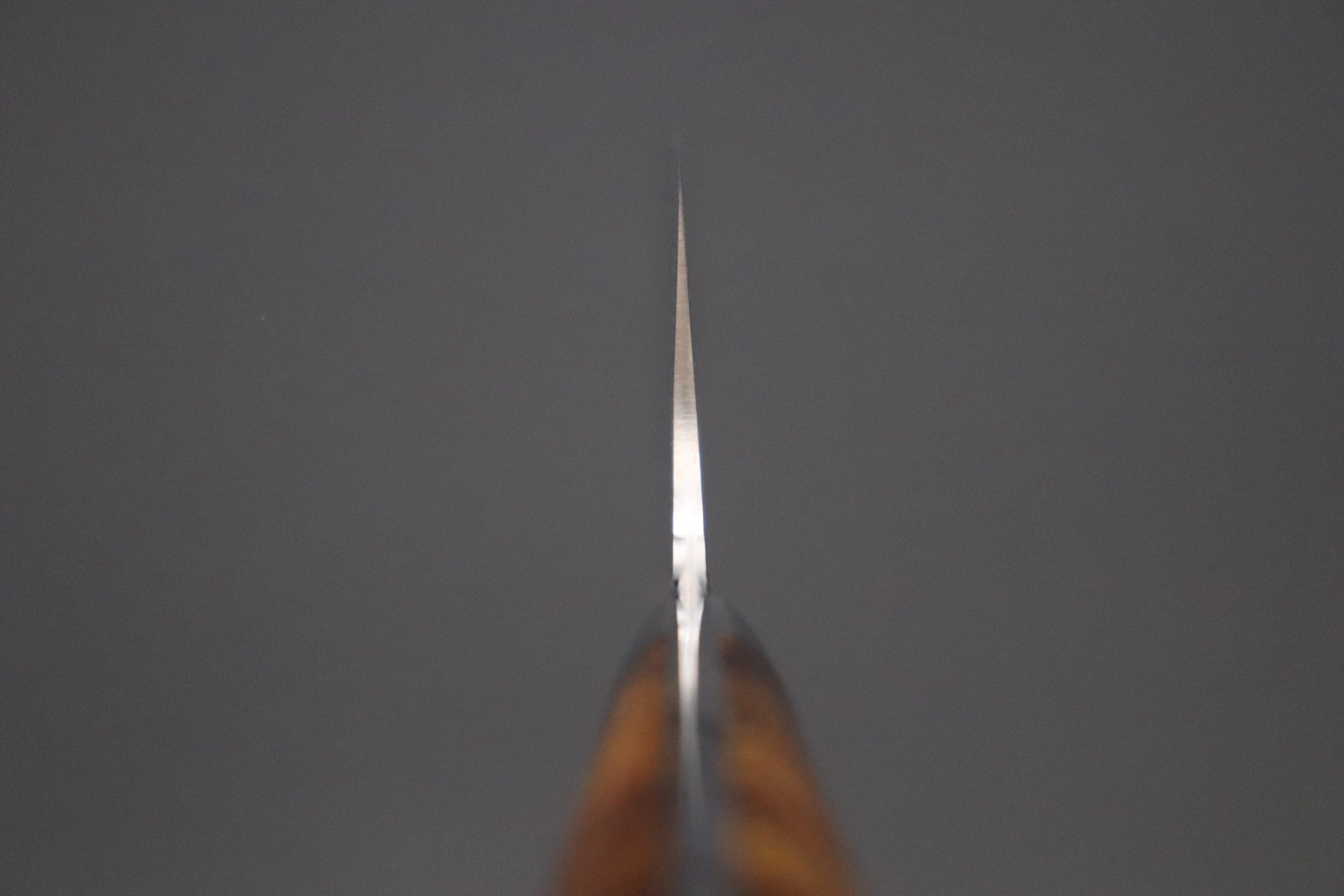 Takeshi Saji R-2 Custom Diamond Damascus Wild Series SRDD-BI Bunka180mm (Desert Ironwood Handle) - Image 4