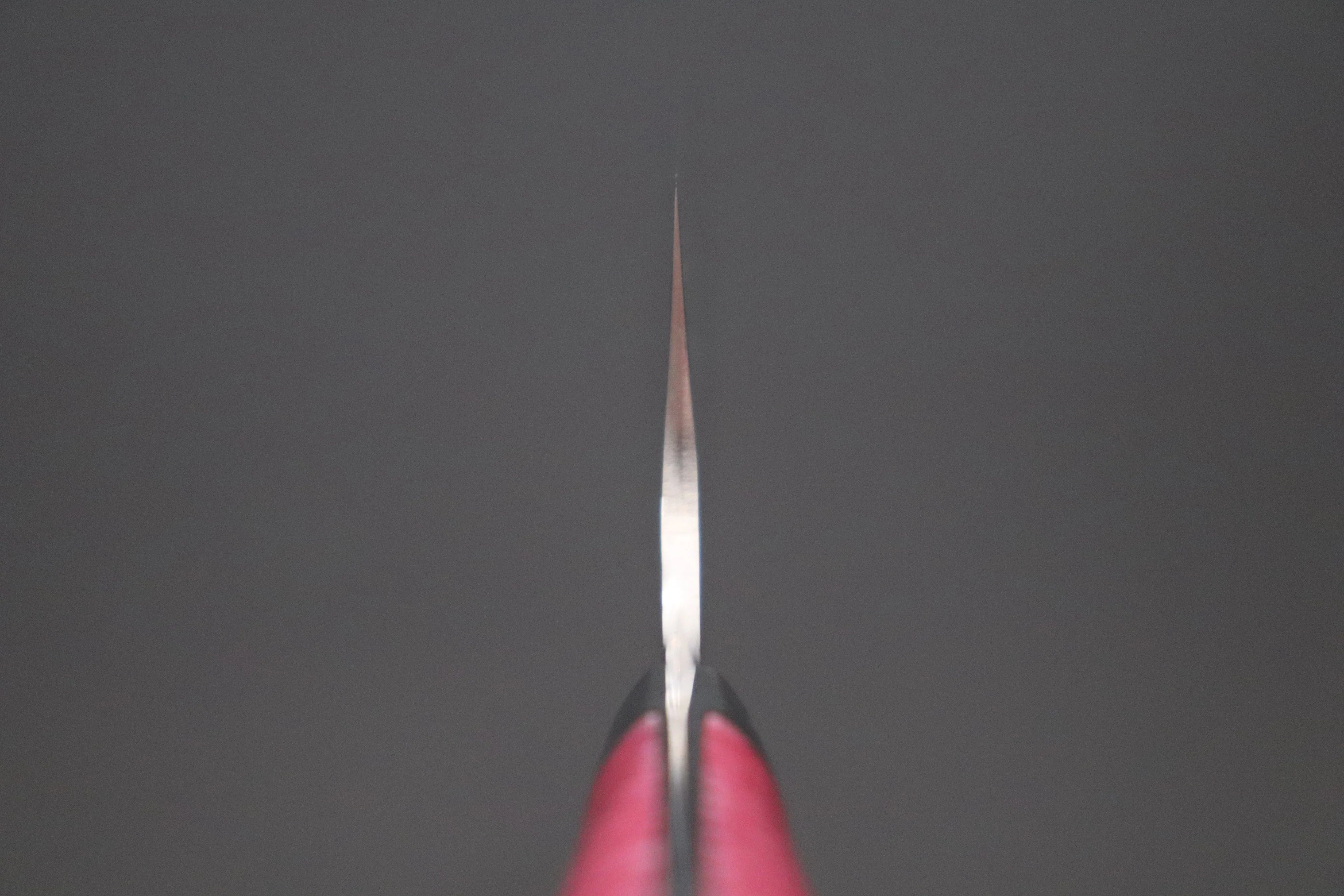 Takeshi Saji SUMMIT ― Limited Edition Custom Series SMT-1026 STRIX SAN-MAI Custom Hammered Santoku 180mm (7 Inch) - Image 4