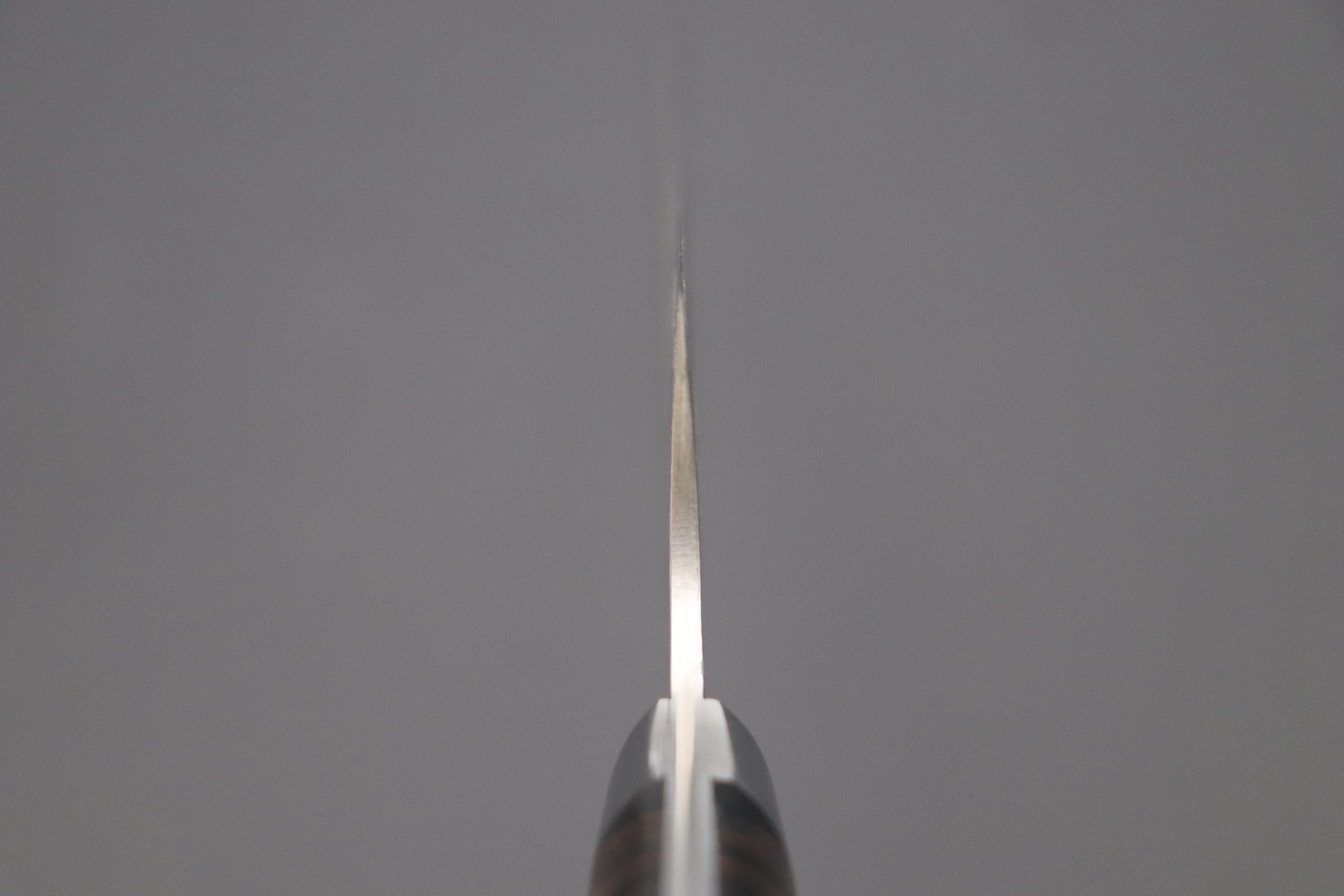 Takeshi Saji SUMMIT ― Limited Edition Custom Series SMT-496 R-2 Custom Damascus Gyuto 240mm (9.4 Inch) - Image 4